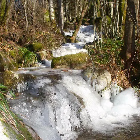 Le Domaine Du Chatelet 3* Ferdrupt