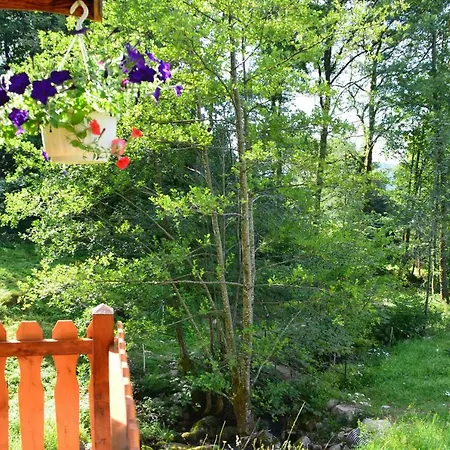 Le Domaine Du Chatelet 3* Ferdrupt