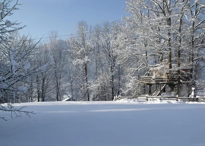 Le Domaine Du Chatelet 住宿加早餐酒店 3*