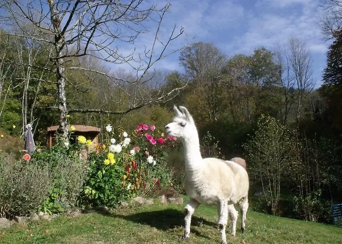 住宿加早餐酒店 Le Domaine Du Chatelet 3*