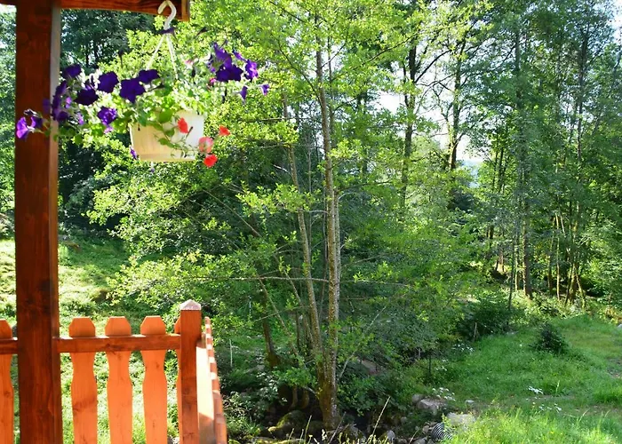 Le Domaine Du Chatelet 3* Ferdrupt